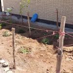 طرح ایران من همیشه سبز شرکت فرمان داده گستر شرق