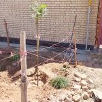 طرح ایران من همیشه سبز شرکت فرمان داده گستر شرق