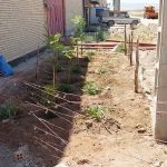 طرح ایران من همیشه سبز شرکت فرمان داده گستر شرق