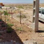 طرح ایران من همیشه سبز شرکت فرمان داده گستر شرق