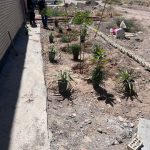 طرح ایران من همیشه سبز شرکت فرمان داده گستر شرق