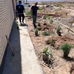 طرح ایران من همیشه سبز شرکت فرمان داده گستر شرق