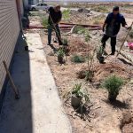 طرح ایران من همیشه سبز شرکت فرمان داده گستر شرق