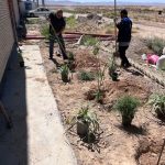 طرح ایران من همیشه سبز شرکت فرمان داده گستر شرق