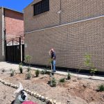 طرح ایران من همیشه سبز شرکت فرمان داده گستر شرق