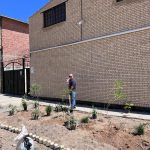 طرح ایران من همیشه سبز شرکت فرمان داده گستر شرق